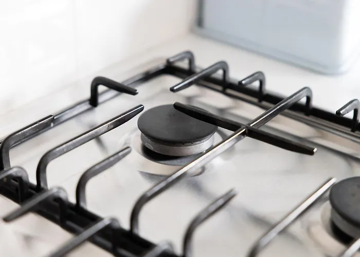 Park House Tatil Evi *